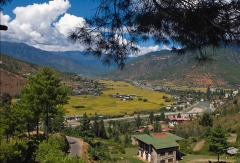 Bhutan 2009.009
