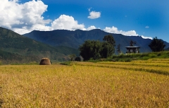 Bhutan 2009.081