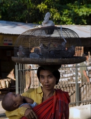 Burma 2011.110