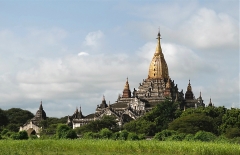 Burma 2011.139