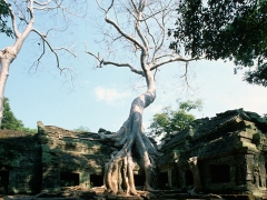 Cambodia.074