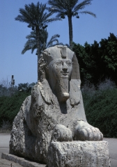 Egypt-69