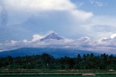 Indonesia 1992.127