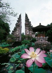 Indonesia 1992.006