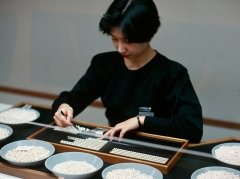 Japan 1993.140