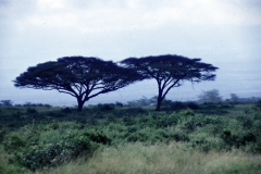Kenya-1979-025