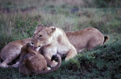 Kenya-1989-064
