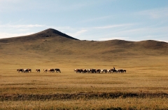 Mongolia 2005.134