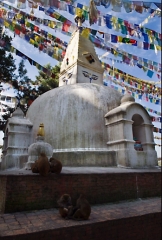 Nepal 2009.007