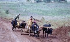Tanzania-1989-001
