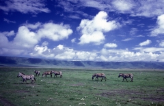 Tanzania-1989-033