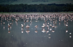 Tanzania-1989-041